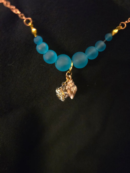 Star and conch